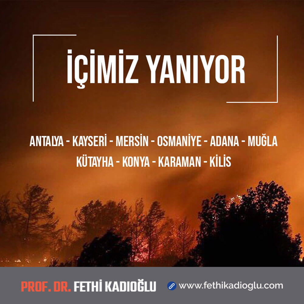 Türkiye Orman Yangınları
